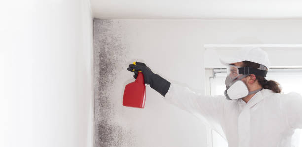 Best Mold Testing  in Booneville, MS
