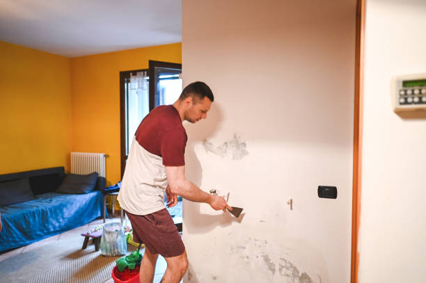Best Mold Damage Repair  in Booneville, MS